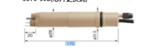 HORIBA 堀場電極塑料機(jī)身ORP傳感器6870-60B[芯片更換式]